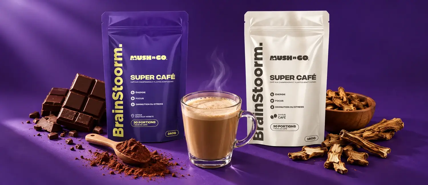 Le due buste di Brainstoorm di Mush N Go, Cioccolato e Caffè, accanto a una tazza fumante, cacao e cicoria tostata su fondo viola