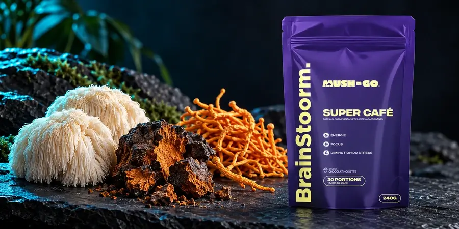 Brainstoorm di Mush N Go accanto ai suoi tre funghi, lion's mane, chaga e cordyceps, su una roccia scura