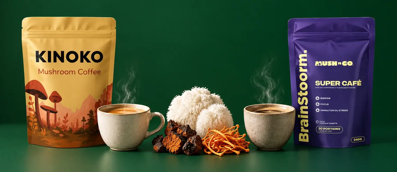 Busta di Caffè ai Funghi di Kinoko e busta di Brainstoorm di Mush N Go ai due lati, con due tazze, lion's mane, chaga e cordyceps al centro, su fondo verde bosco